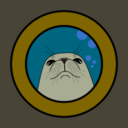 seal sea wild animals