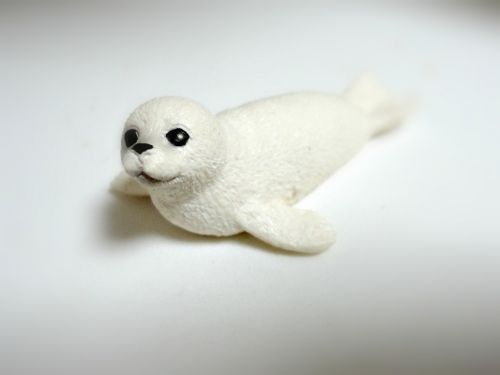 seal cub white seal