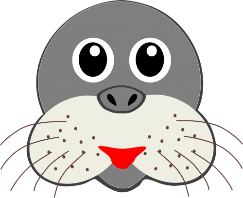 seal head gray