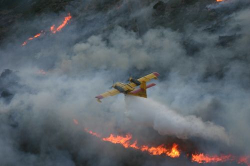 seaplane water download