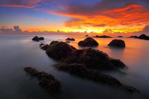 seascape sunrise sea