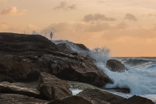 seascape sydney australia