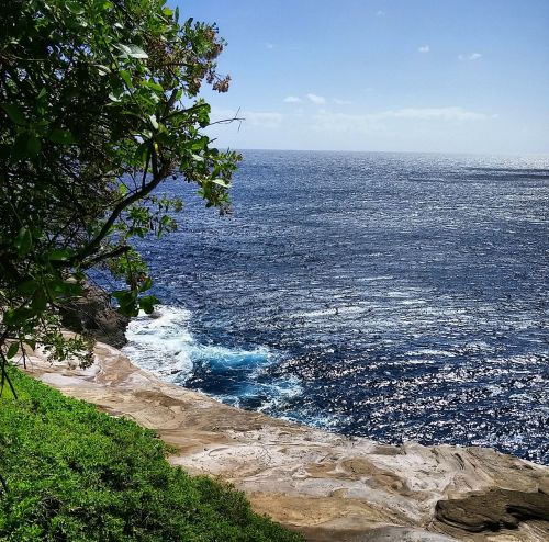 seascape ocean landscape