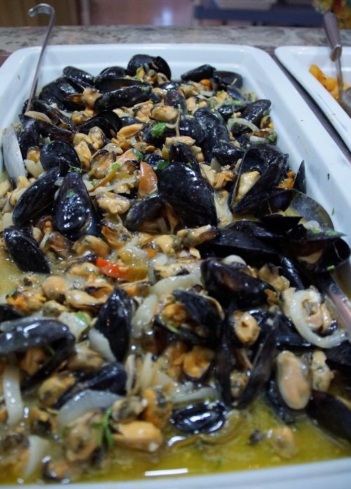 seashell seafood mussels