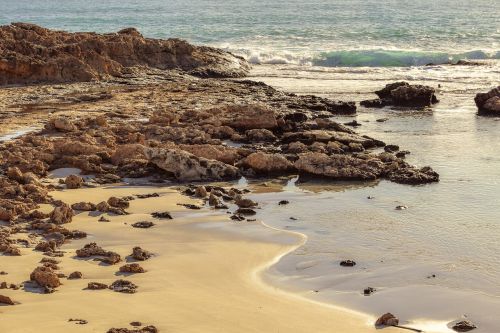 seashore beach sea