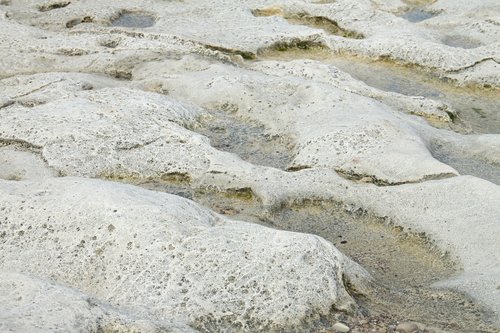 seashore  haifa  israel