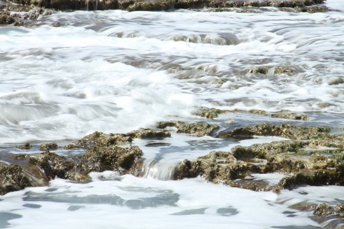 seashore  haifa  israel