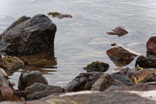 Seashore Rocks