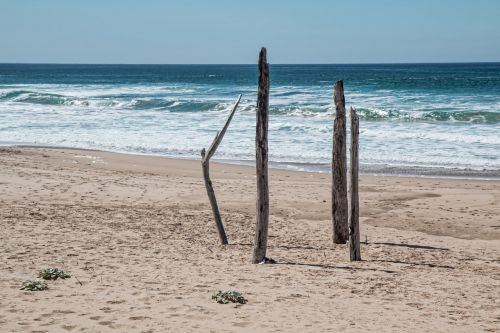 seaside beach alone