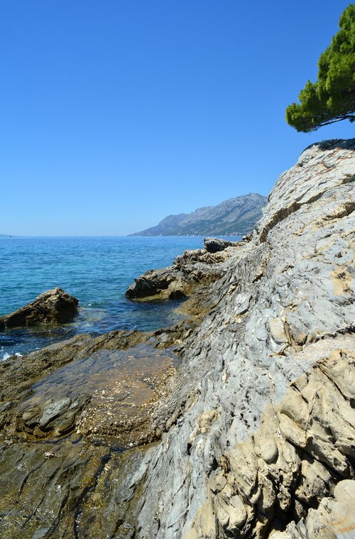 seaside  sea  rocks