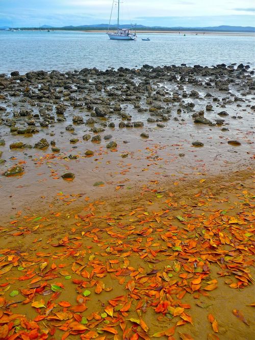 seaside seashore coastline