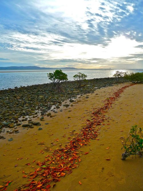 seaside seashore coastline