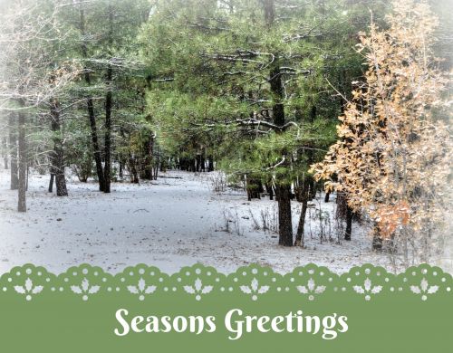 Seasons Greeting Forest