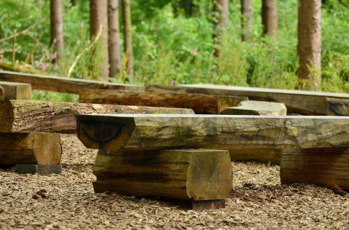 seat wooden bench forest