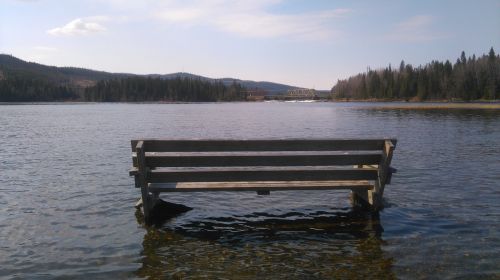 seat river bench