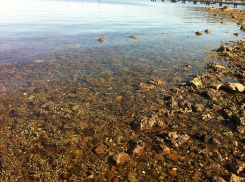 Seawater At Beach Edge