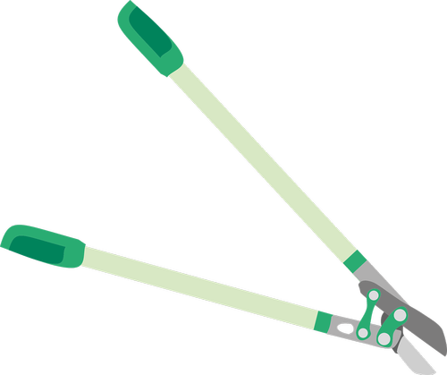 secateurs  scissors  tool
