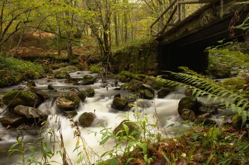 sedado río river