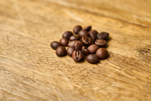 seed core coffee