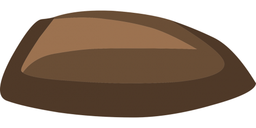 seed nut brown