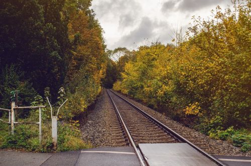 seemed autumn track