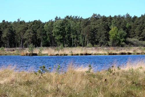 seemoor  moor  nature