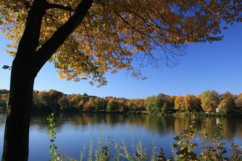 seilersee  autumn  water