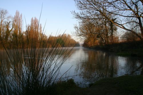 seine river dawn