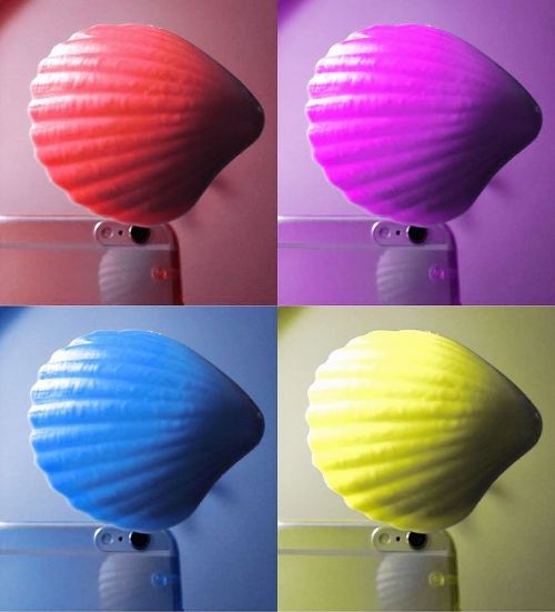 selfie shell colorful