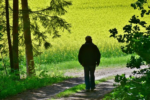 senior  man  oilseed rape