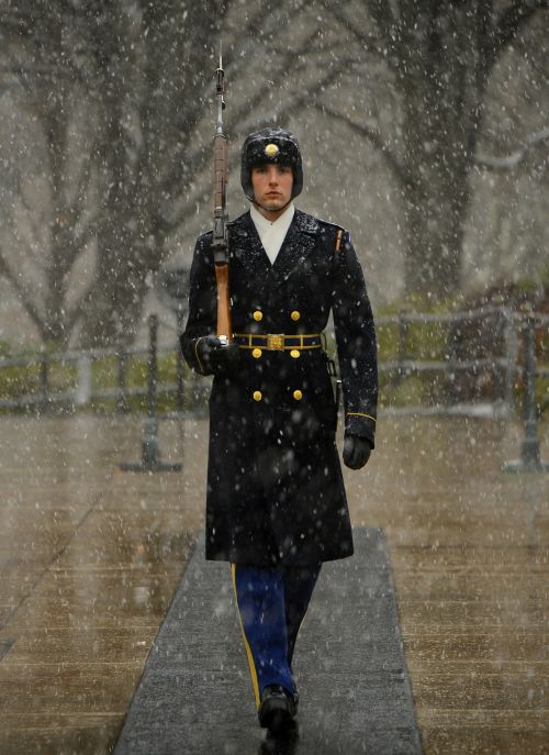 sentinel tomb of unknown soldier guard