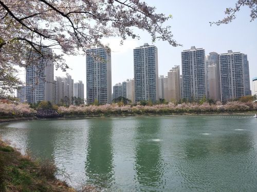 seokchon lake lake palace spring