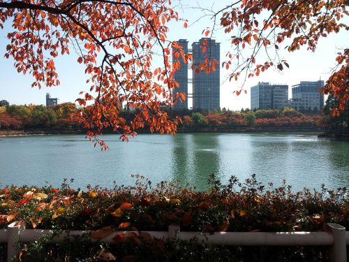 seokchon lake lake palace autumn