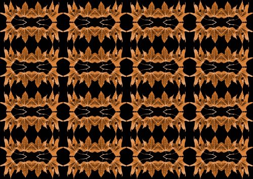 Sepia Leaf Pattern On Black
