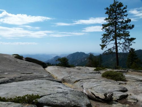 sequoia national park california usa