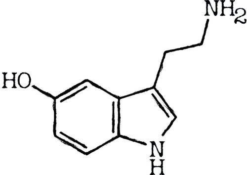seratonin  molecule  medical