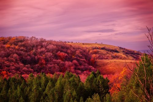 serbia hills mountains