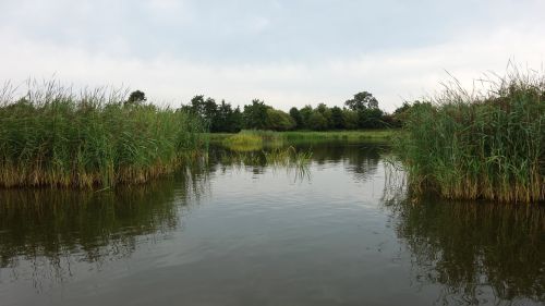 serene quiet water