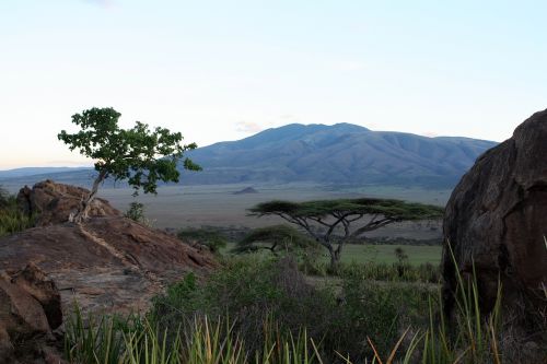 serengeti tanzania africa