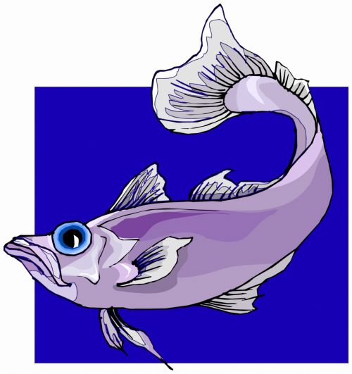 Series (tropical) Fish