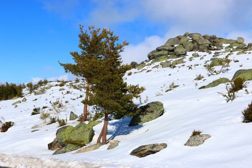 serra da estrela snow winter