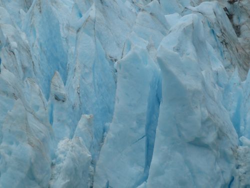 serranogletscher glacier chile