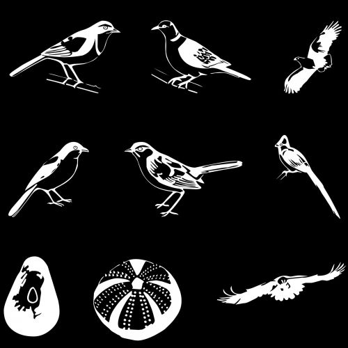 Set Of 8 Birds