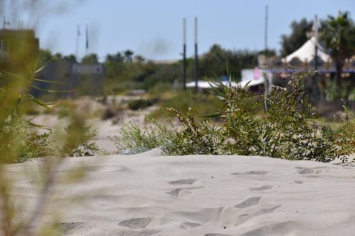 sète  beach  sand