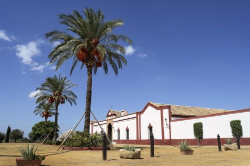 sevilla polo stables