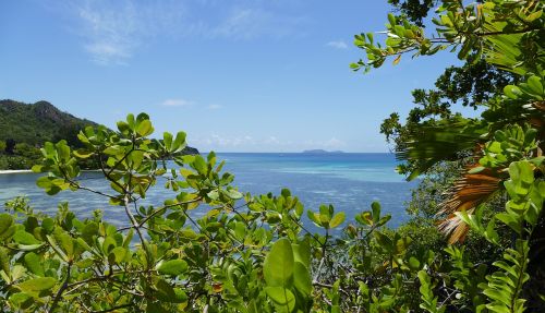 seychelles beach sea