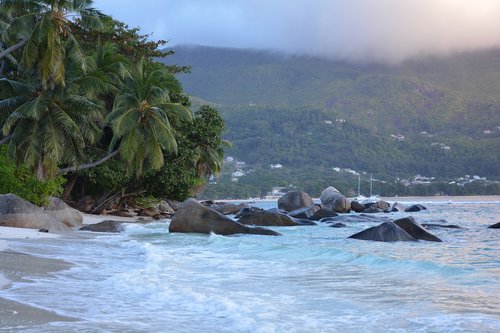 seychelles  beach  sea