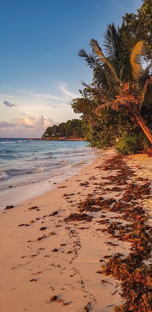 seychelles  sunset  beach