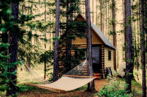 shack hut log cabin