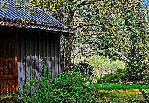 Shack In The Woods